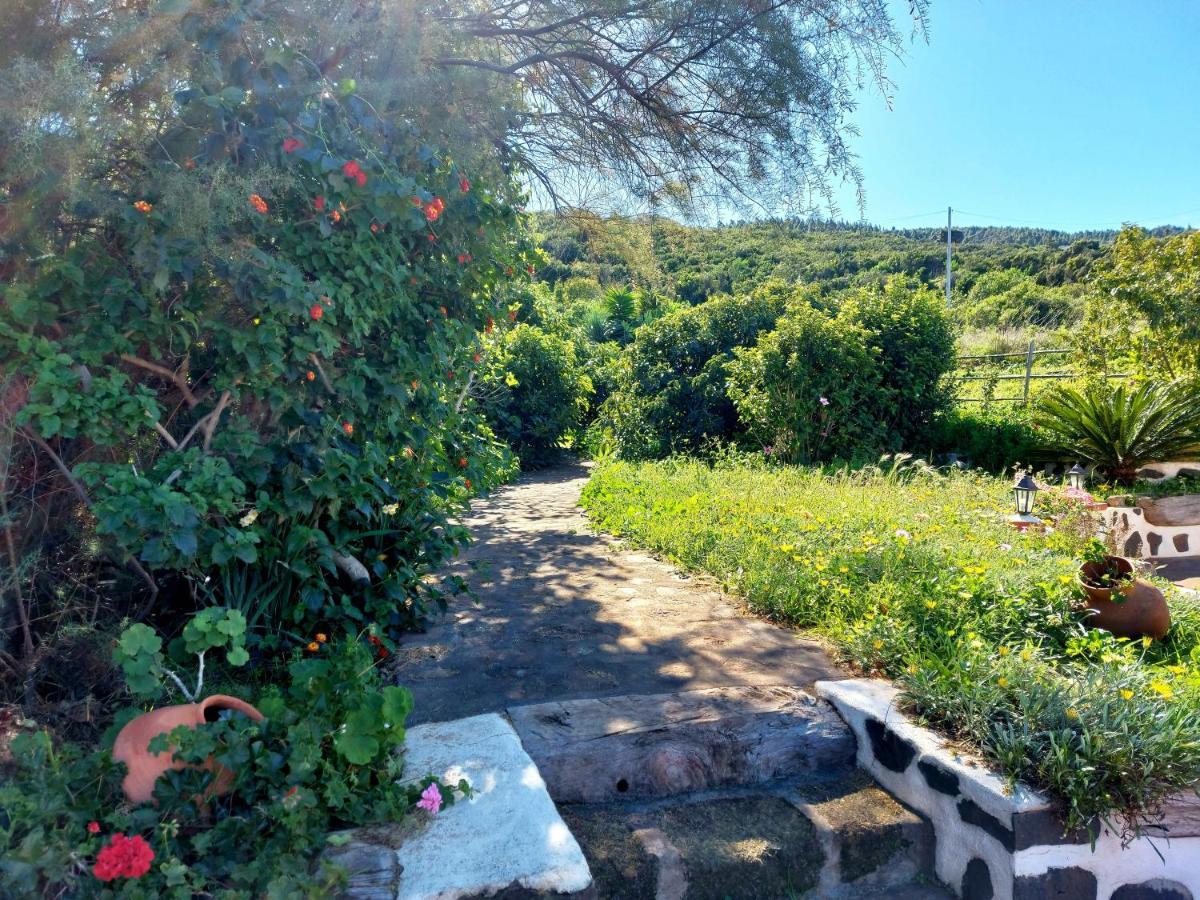 Vila El Jaral Garafía Exteriér fotografie